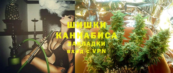 крисы Верея