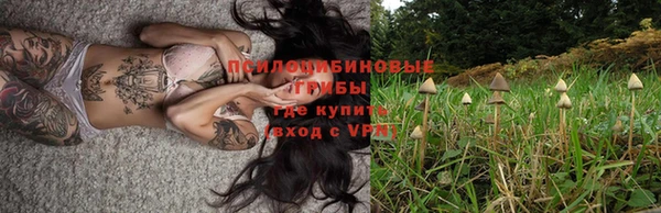 хмурый Сосновоборск
