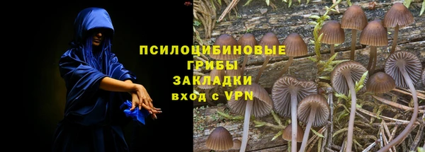 ешки Сосновый Бор
