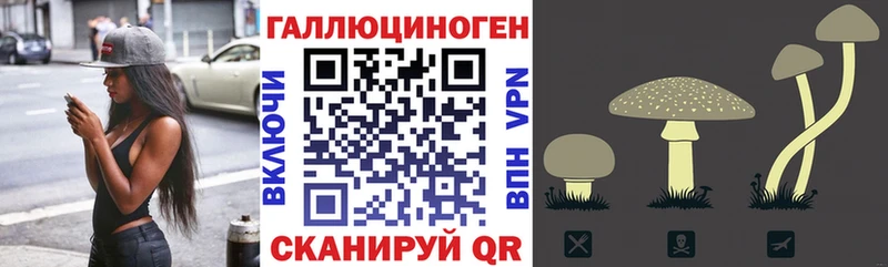 площадка Telegram  Наволоки  Галлюциногенные грибы Magic Shrooms  hydra зеркало 